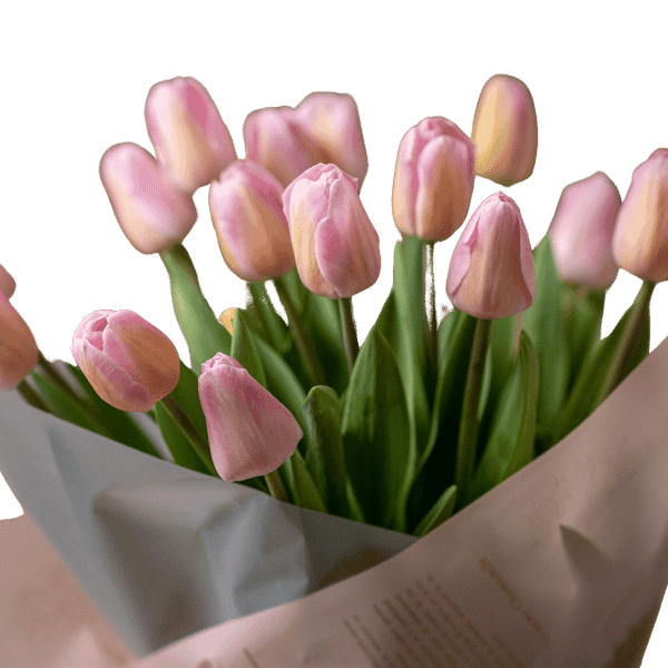 Flower 2